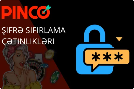 Pinco Şifrə Sıfırlama Çətinlikləri
