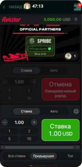 Ожидания запуска раунда Aviator