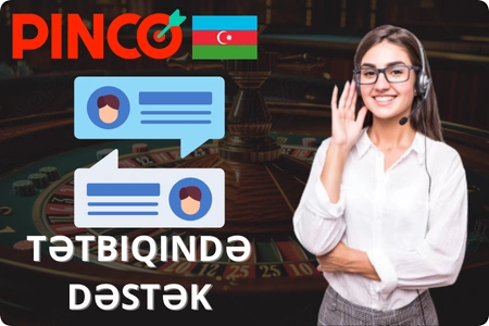 Pinco tətbiqində dəstək