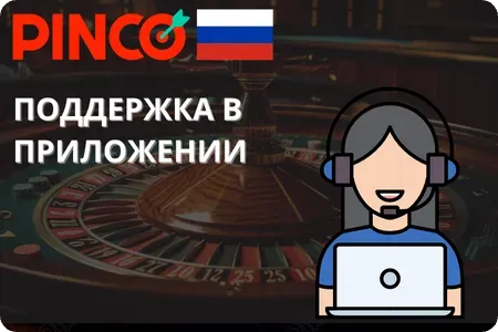 Поддержка в приложении Pinco