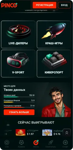 типы игр pinco