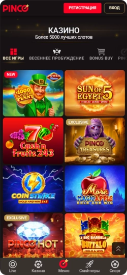 Pinco Casino 
