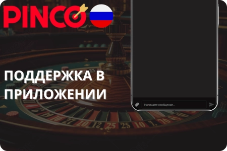 Поддержка в приложении Pinco