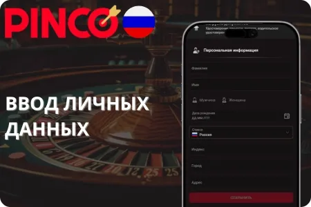 Ввод данных в Pinco
